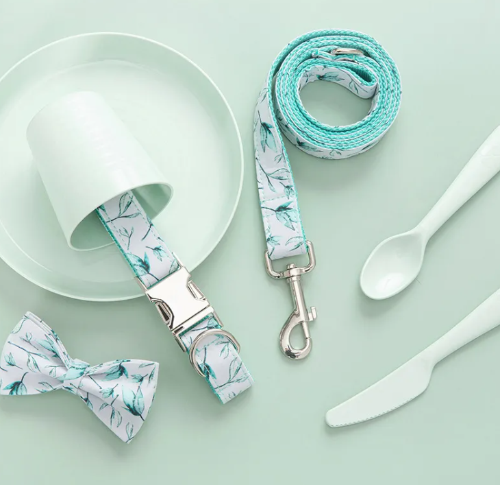 Pet Leash