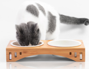 Wooden Pet Dining Table with Bowl Stand and Accessories