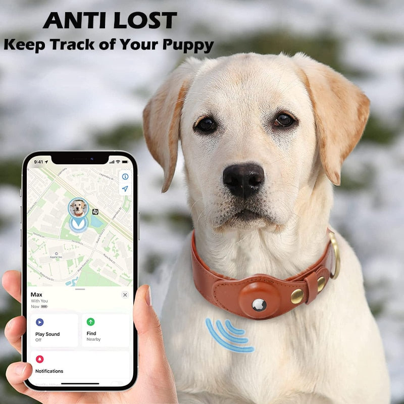 Anti-Verlust-Hundehalsband aus Leder