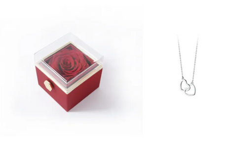 BloomSpin Acrylic Jewelry Organizer
