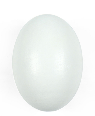 DIY Wooden Craft Blank for Painting Festival Eggs