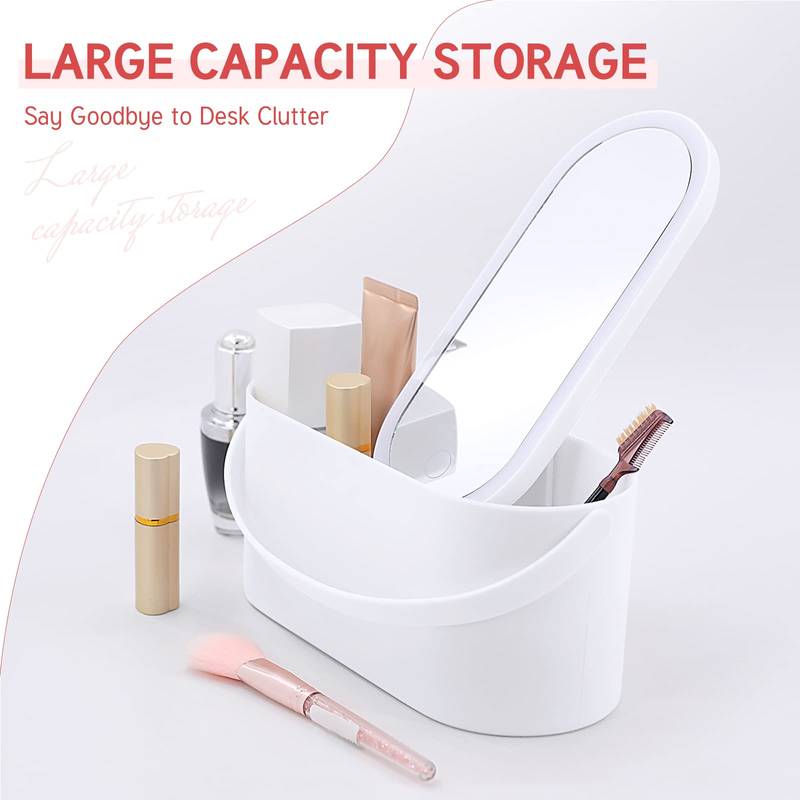 Portable Makeup Organizer with LED Light & Mirror