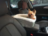 Waterproof Pet Car Seat Cover with Dual Layers
