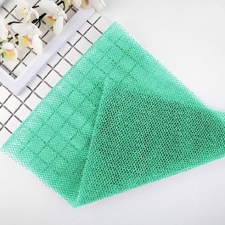Trendy African Net Sponge