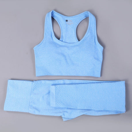 2/3PCS Seamless Women Workout Sportswear - Atlantic Shopping Mall