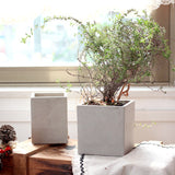 Creative Square Cement Planter for Succulents and Cacti