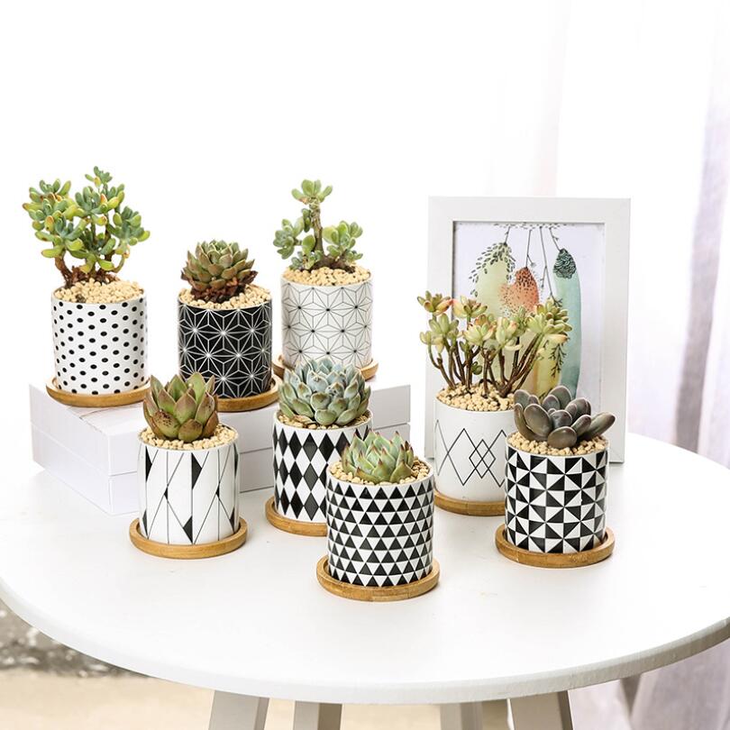 Geometric Ceramic Succulent Planter - Nordic Style