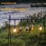 Solar-Powered Camping Light & Mosquito Killer