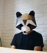 DIY Paper Mask Craft, Raccoon Headpiece