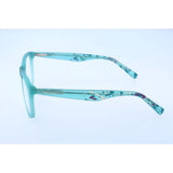 Hugo Boss Brown Injected Glasses (Frames)