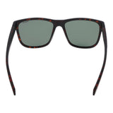 Polaroid Brown Plastic Sunglasses