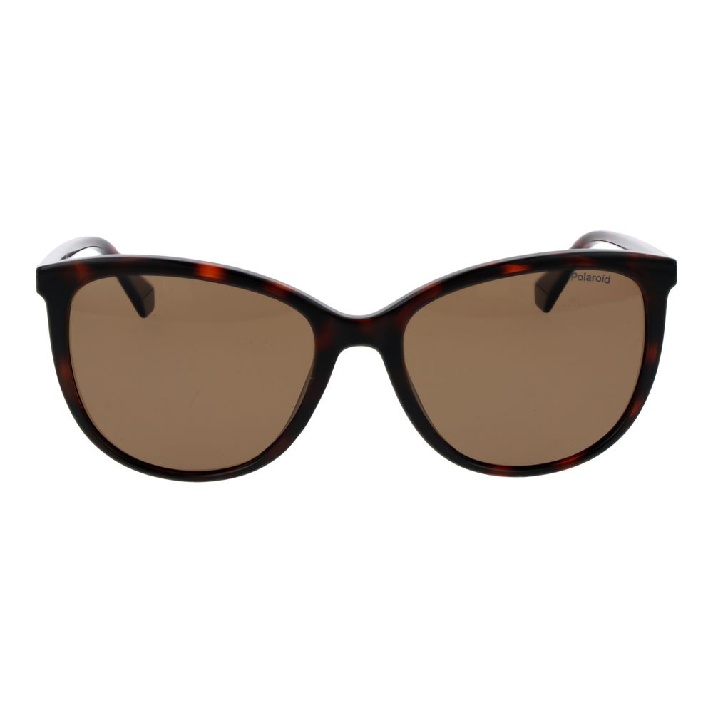 Polaroid Brown Plastic Sunglasses