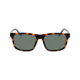 Lacoste Brown Injected Sunglasses