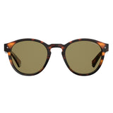 Polaroid Brown Plastic Sunglasses