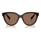 Armani Exchange Brown Injected Sunglasses