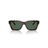 Arnette Brown Injected Sunglasses
