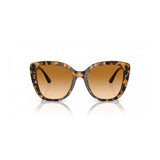 Emporio Armani Bicolor Acetate Sunglasses