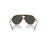 Emporio Armani Brown Acetate Sunglasses