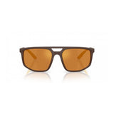 Emporio Armani Brown Injected Sunglasses