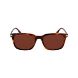 Lacoste Brown Acetate Sunglasses