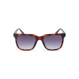Police Brown Injected Sunglasses