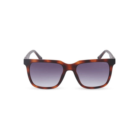 Police Brown Injected Sunglasses