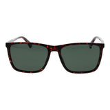 Polaroid Brown Plastic Sunglasses