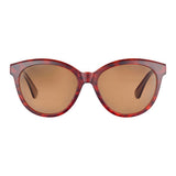 Serengeti Brown Resin Sunglasses