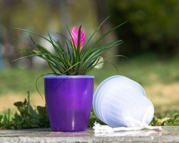 Self-Watering Planter for Green Plants and Succulents