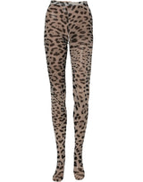 Dolce & Gabbana Gray Leopard Nylon Tights Stocking Pantyhose Socks
