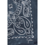 Golden Goose Blue Silk Scarf