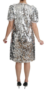 Dolce & Gabbana Elegant Silver A-Line Dress with Crystal Accents