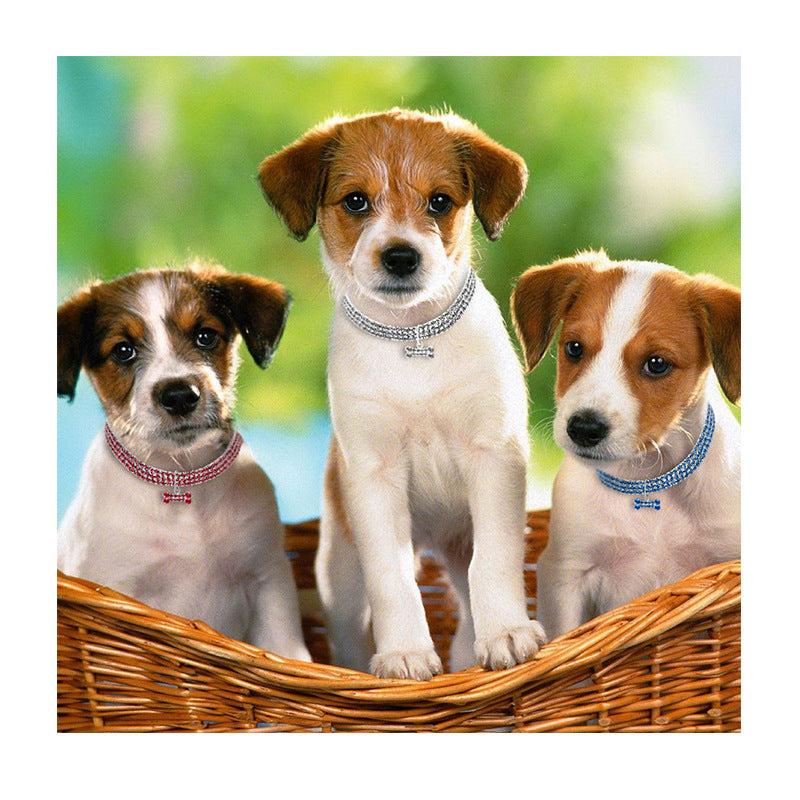 Dog Necklace and Pet Accessories with Diamond Collar