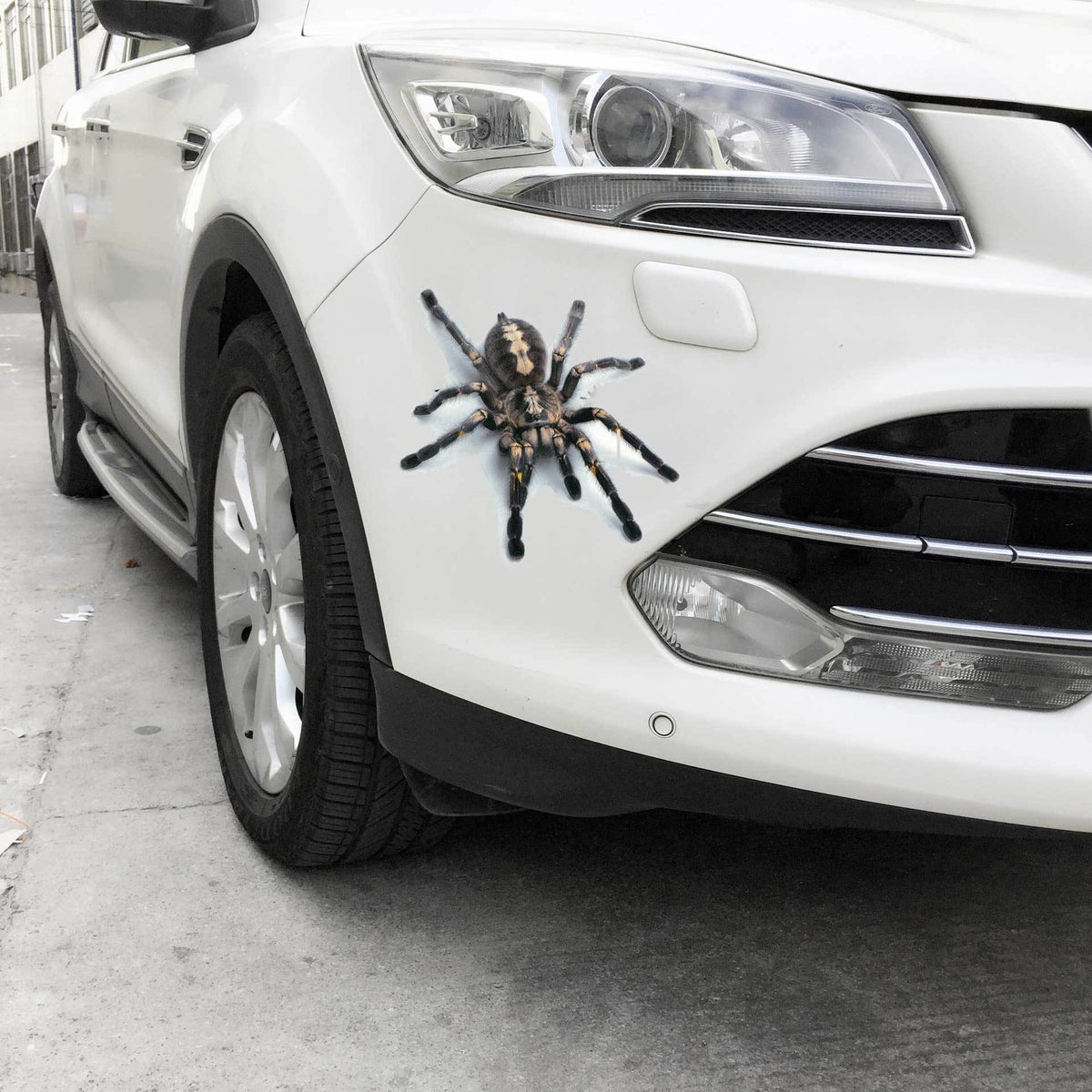 3D Spider Gecko Car Sticker for Realistic Customization