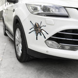 3D Spider Gecko Car Sticker for Realistic Customization