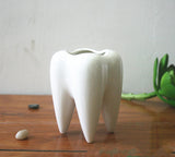 Wholesale White Ceramic Tooth-Shaped Planter Pot