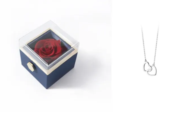 BloomSpin Acrylic Jewelry Organizer