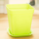 Planter for Gardening with Succulents