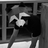 DIY Paper Mask Craft, Raccoon Headpiece