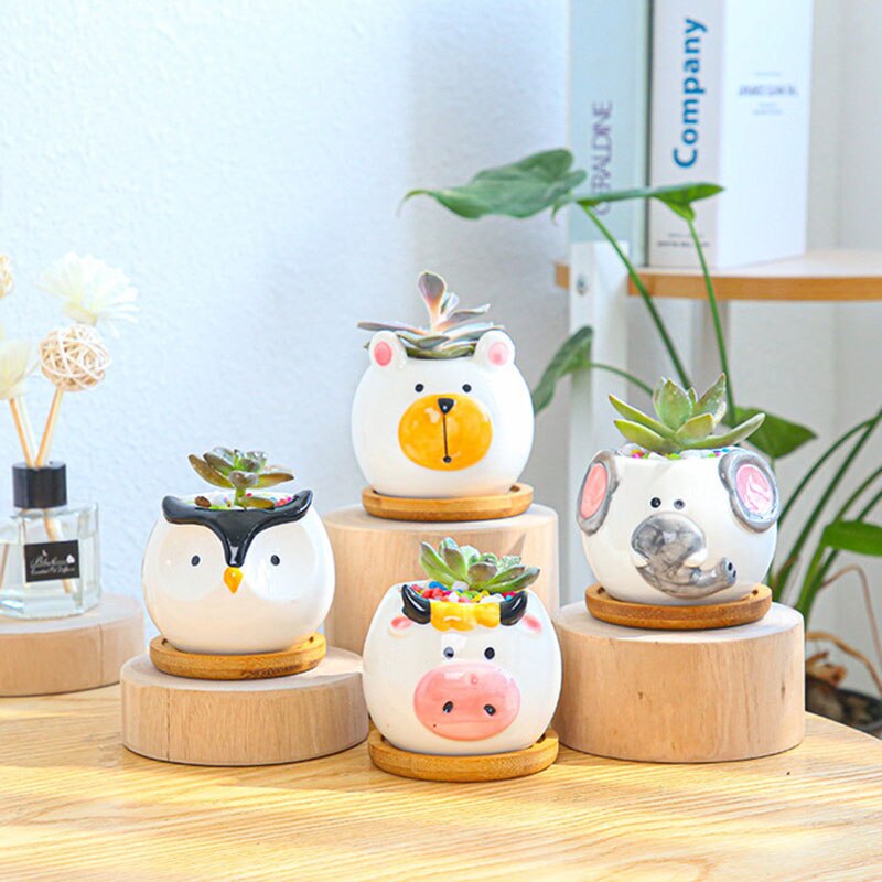 Creative Cartoon Animal Succulent Planter Set (Owl)