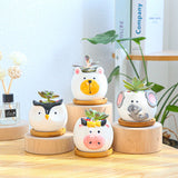 Creative Cartoon Animal Succulent Planter Set (Owl)