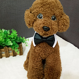 Pet Bow Tie Collar Accessories for Dogs and Cats