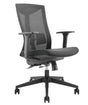 Lumivida Office Chair Ergonomic Mesh Lumbar Support Adjustable Seat/Armrest Black CH05-7
