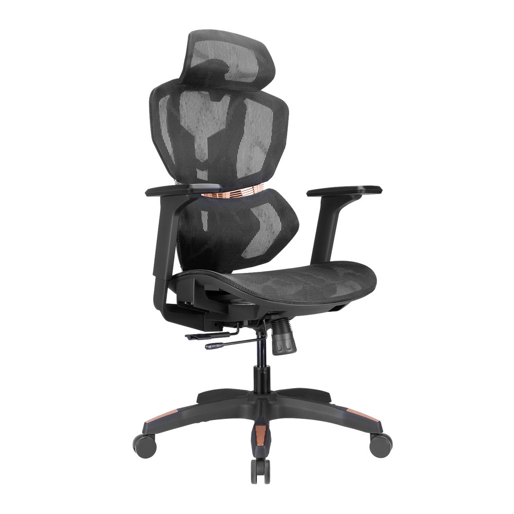 Lumivida Gaming/Office Chair Ergonomic Mesh Lumbar Support Adjustable Seat/Armrest CH09-8 Black