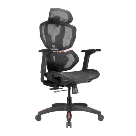 Lumivida Gaming/Office Chair Ergonomic Mesh Lumbar Support Adjustable Seat/Armrest CH09-8 Black