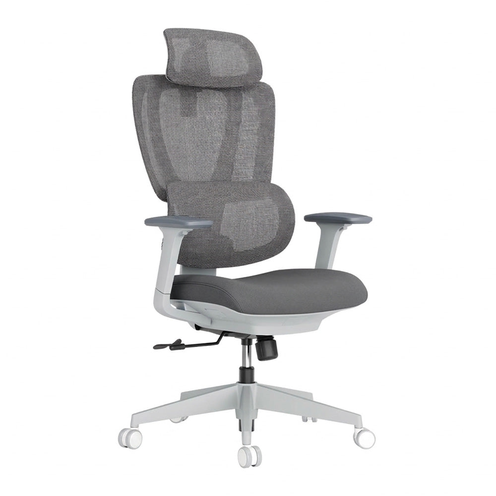 Lumivida Office Chair Ergonomic Mesh Lumbar Support Adjustable Seat/Armrest CH10-26 Grey