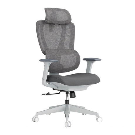 Lumivida Office Chair Ergonomic Mesh Lumbar Support Adjustable Seat/Armrest CH10-26 Grey