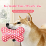 Pet Plush Molar Toy