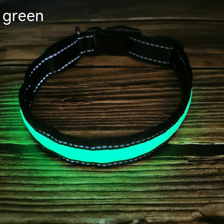 Reflective LED Dog Collar with Leather and Ribbon Design