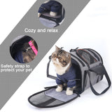 Multifunctional Foldable Pet Backpack for Travel
